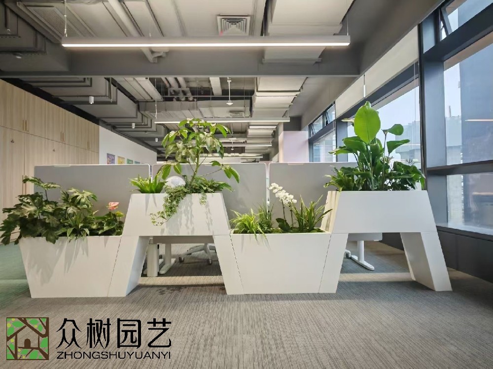 蘇州綠植租賃服務，打造綠色、健康辦公空間