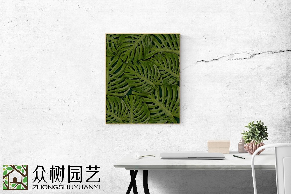 蘇州綠植租擺哪家好？揭秘城市綠林的優選選擇