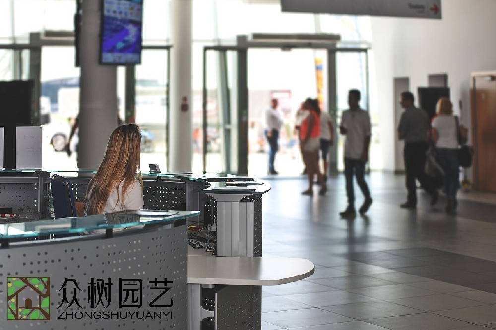 蘇州學(xué)校綠植租擺企業(yè): 貫穿環(huán)保、健康與美學(xué)的教育新理念