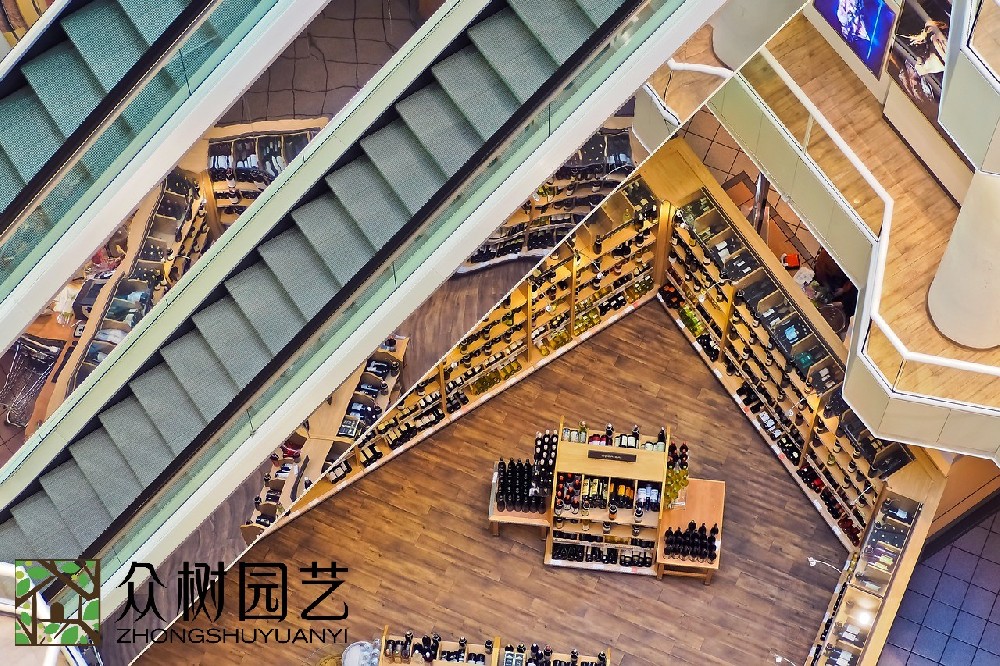 蘇州商場(chǎng)綠植租擺廠商：綠色美學(xué)的革命者，商場(chǎng)美學(xué)改變者