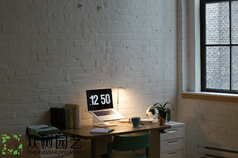 蘇州室內(nèi)綠植租擺費(fèi)用揭秘：預(yù)算、選擇和維護(hù)，一次性了解!